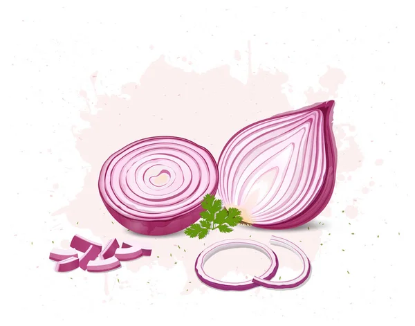 Half Piece Onion Vector Illustration Pieces Green Coriander Leaves — стоковый вектор