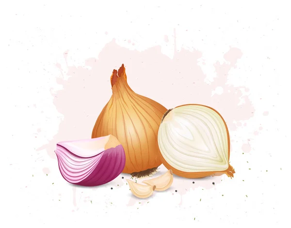 Yellow Red Onion Garlic Cloves Vector Illustration — Stock Vector