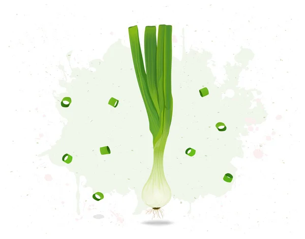 白背景下的绿洋葱根蔬菜载体图解 — 图库矢量图片