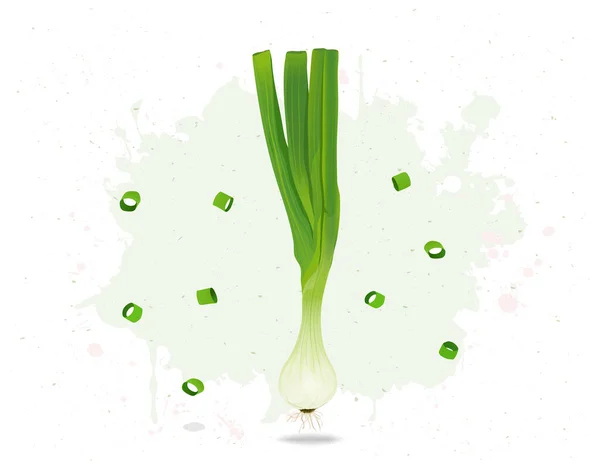 Cebolla Verde Raíz Vegetal Vector Ilustración Sobre Fondo Blanco — Archivo Imágenes Vectoriales