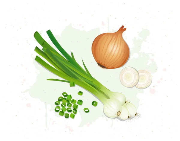 Yellow Green Onions Vector Illustration Isolated White Background — стоковый вектор