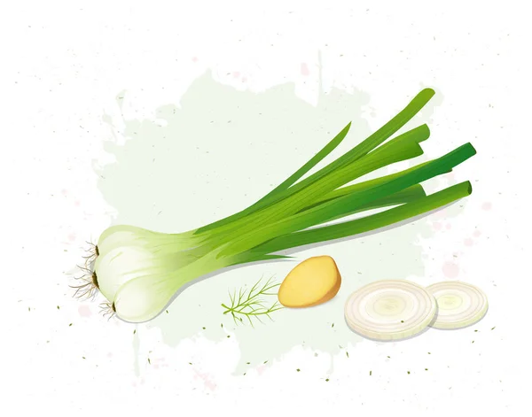 Green Onions Vector Illustration Garlic Onion Slices Isolated White Background — стоковый вектор