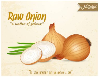 Yarım parça soğan ve online dilimlerle soğan sebze vektör çizimi 