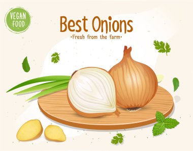 Yarım parça soğan ve yeşil saplı sarı soğan vektör çizimi