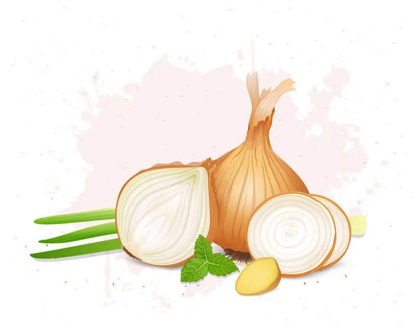 Vegetales Cebolla Amarilla Con Rodajas Cebolla Hojas Menta Vector Ilustración — Vector de stock