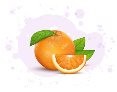 Taze Turuncu Meyve vektör çizimi portakal dilimleri ve yeşil yapraklarla