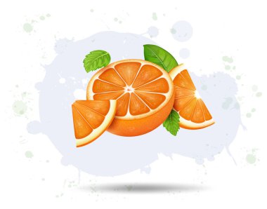 Hava vektörü illüstrasyonunda yarım portakal ve portakal dilimleri 