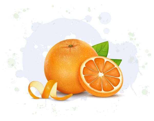 Friss Narancs Gyümölcs Gyümölcsszeletek Vektor Illusztráció Zöld Levelekkel — Stock Vector