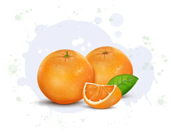 Set Van Twee Vers Oranje Fruitvector Illustraties Met Sinaasappelschijfje Bladeren — Stockvector