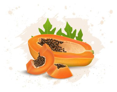 Papaya vektör illüstrasyonunun yarısı papaya dilimleri ve yeşil yapraklı tohumlar