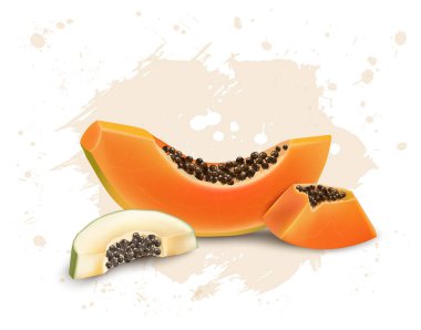 Papaya meyve vektör çizimi papaya dilimleri ve tohumlarıyla