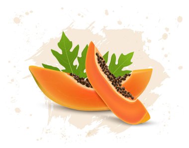 Papaya, vektör illüstrasyonunu Papaya tohumları ve yeşil yapraklarla dilimliyor
