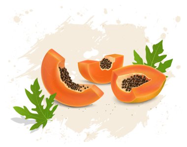 Papaya, papaya dilimleri ve yeşil yapraklı vektör illüstrasyonunun yarısı