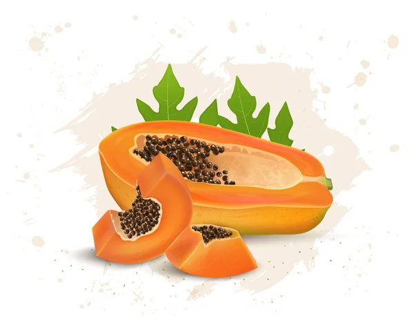 Half Papaya Vector Illustration Papaya Slices Seeds Green Leaves — стоковый вектор