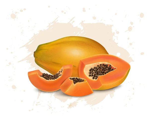 Papaya Fruit Vector Illustratie Met Een Half Stuk Papaya Met — Stockvector