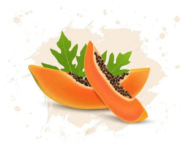 Papaya Slices Vector Illustration Papaya Seeds Green Leaves — стоковый вектор