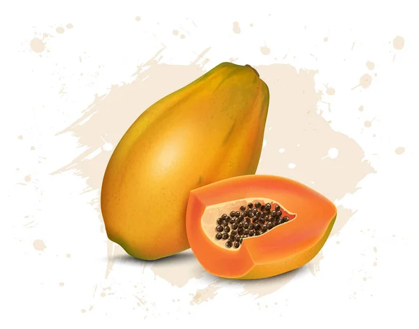 Papaya Vector Illustratie Met Papaya Fruit Half Stuk — Stockvector