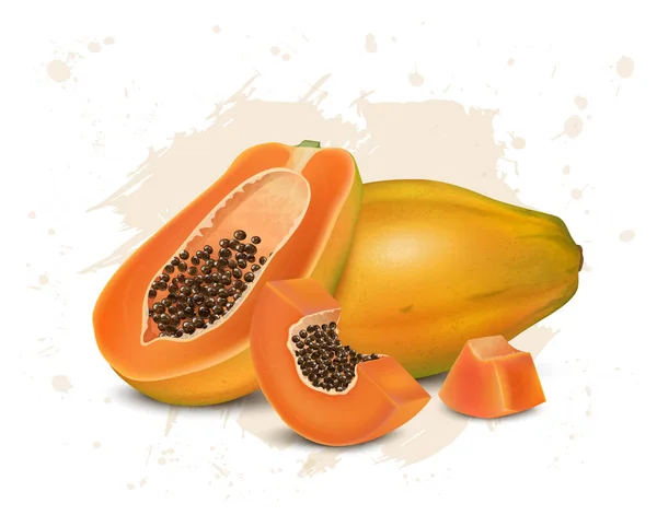 Frische Papaya Fruchtvektorillustration Mit Halbem Stück Und Fruchtscheiben — Stockvektor