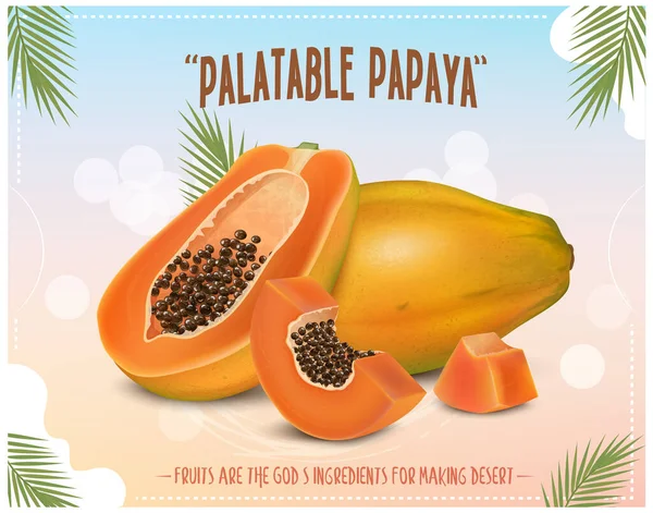 Ilustración Vectorial Papaya Con Media Pieza Fruta Rodajas Papaya — Vector de stock