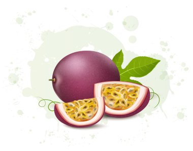 Meyve dilimleri ve yeşil yapraklı tutkulu meyve vektör illüstrasyonu