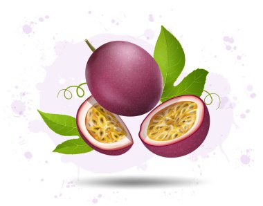 Passion fruit and fruit slices in the air vector illustration with green leaves