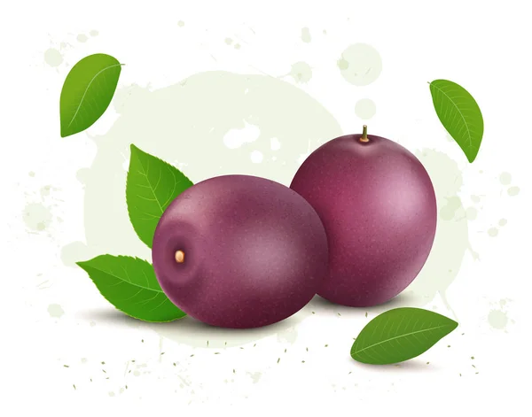 Set Two Purple Passion Fruit Vector Illustrations Green Leaves Isolated — Vetor de Stock