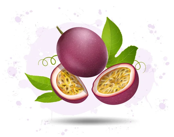 Passion Fruit Fruit Slices Air Vector Illustration Green Leaves — 스톡 벡터