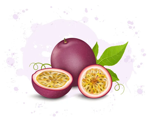 Vector Illustration Purple Passion Fruit Green Leaves Isolated White Background — Stockový vektor