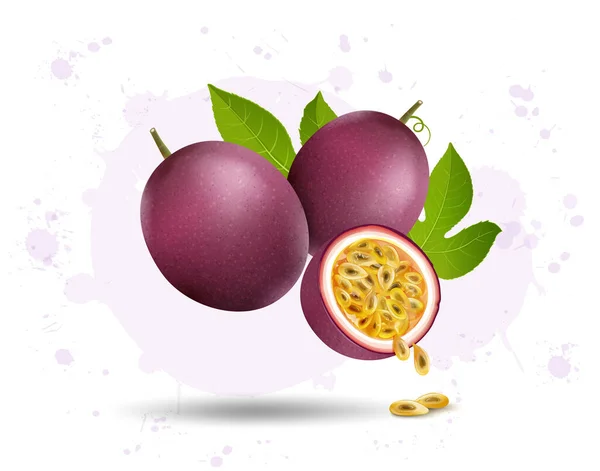 Purple Passion Fruit Vector Illustration Half Piece Fruit Green Leaves — 스톡 벡터