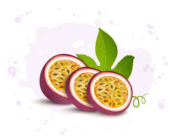 Media Pieza Ilustración Vectorial Fruta Pasión Con Rebanadas Fruta Hojas — Vector de stock