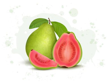 Yeşil Guava vektör çizimi, yarım parça Guava ve yeşil yapraklı guava dilimleri.