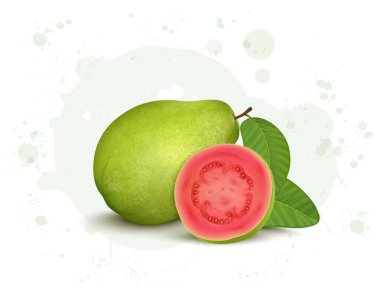 Yeşil yapraklı yarım parça pembe guava vektör illüstrasyonuyla tüm Yeşil Guava vektör çizimi