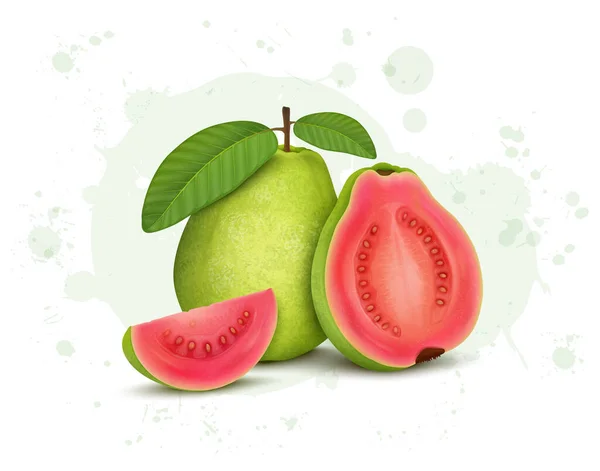 Guaven Fruchtvektorillustration Mit Einem Halben Stück Guaven Mit Fruchtscheiben — Stockvektor