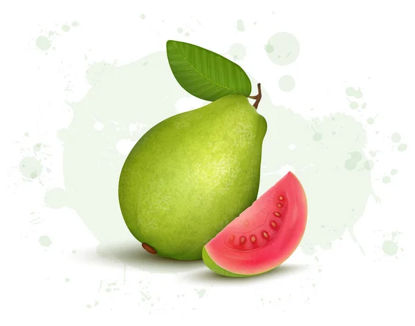 Illustrazione Vettoriale Guava Verde Illustrazione Vettoriale Con Fette Rosa Guava — Vettoriale Stock