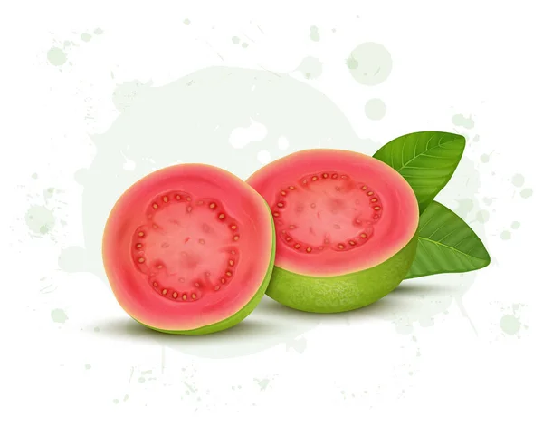 Ein Halbes Stück Der Guaven Vektorillustration Mit Guaven Blättern — Stockvektor