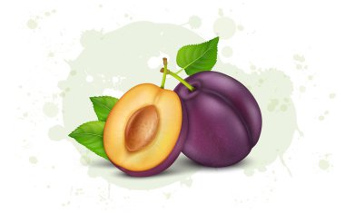 Fresh Plum fruits with green and half piece of plum fruit vector illustration isolated on white background