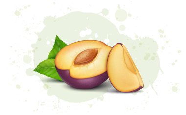 Erikli ve yeşil yapraklı yarım parça taze erik meyvesi vektör çizimi