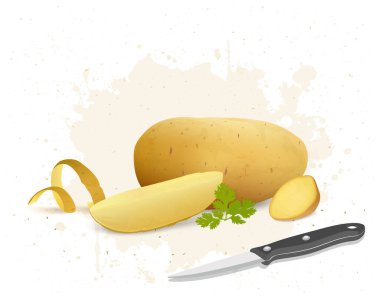 Sebze dilimli taze patates kökü sebze vektör çizimi 