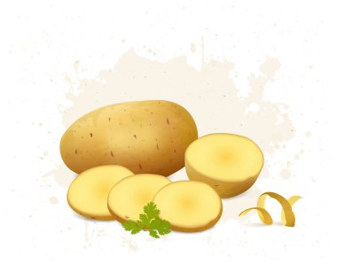 Patates kökü sebze vektör çizimi ve patates parçaları.