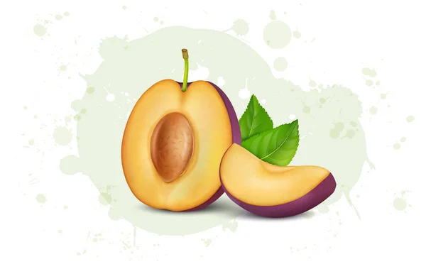 Halve Stuk Pruimenfruit Vector Illustratie Met Pruimenschijfjes Groene Bladeren — Stockvector