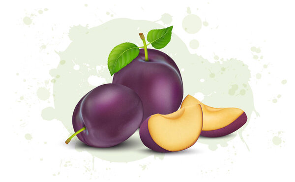 Set of Purple Plum Fruit vector illustration with green leaves and fruit slices