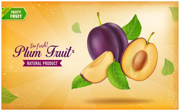Ciruela Ilustración Vectores Frutas Con Medio Pedazo Fruta Con Rodajas — Vector de stock