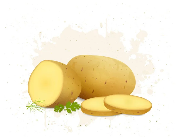 土豆蔬菜病媒图解与马铃薯片 — 图库矢量图片