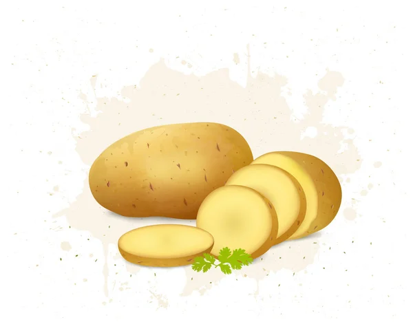 Свіжа Картопля Векторна Ілюстрація Скибочками Картоплі Білому Тлі — стоковий вектор