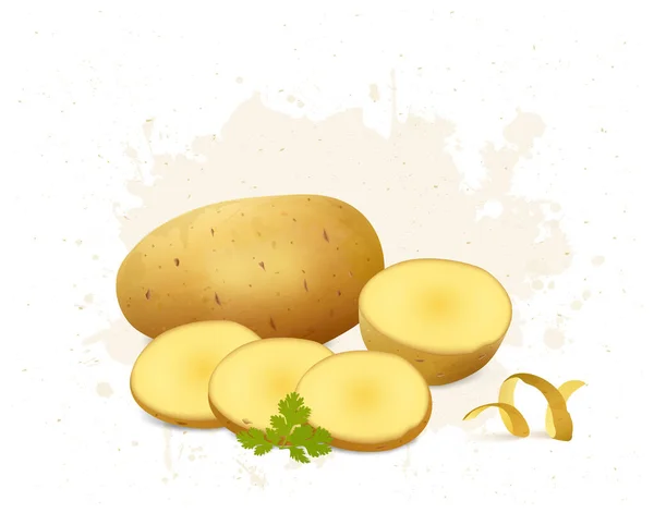 Patata Raíz Vegetal Vector Ilustración Con Los Pedazos Patatas — Vector de stock