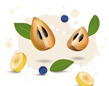 Sapodilla meyvesi, Sapodilla yaprakları ve yaban mersinleriyle vektör illüstrasyonunu dilimler 