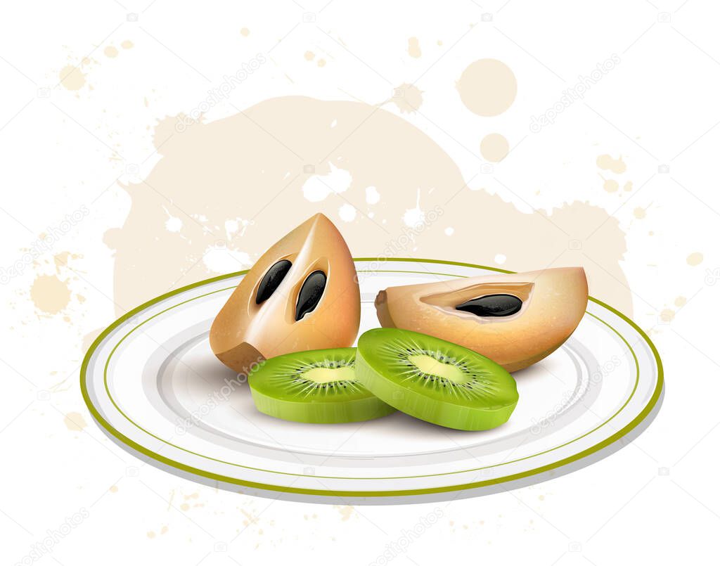 Sapodilla and kiwi fruit slices vector illustration