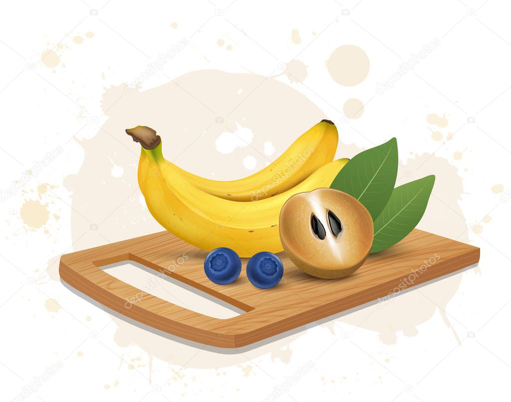 Banana and Sapodilla Fruit vector illustration with Sapodilla leaves and berries