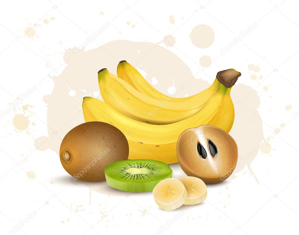 Sapodilla and banana fruit vector illustration with kiwi slices isolated on white background