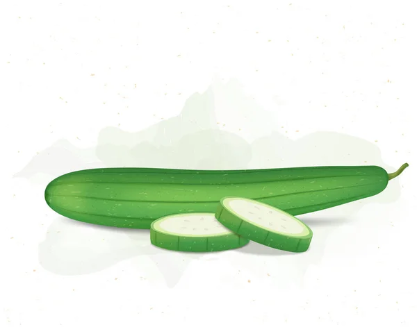 Green Sponge Gourd Vegetable Slices Vector Illustration White Background — Stok Vektör